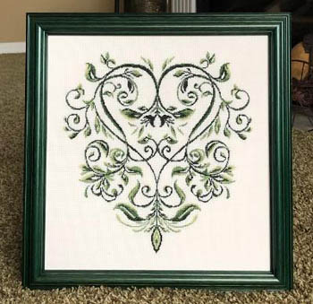 English Ivy